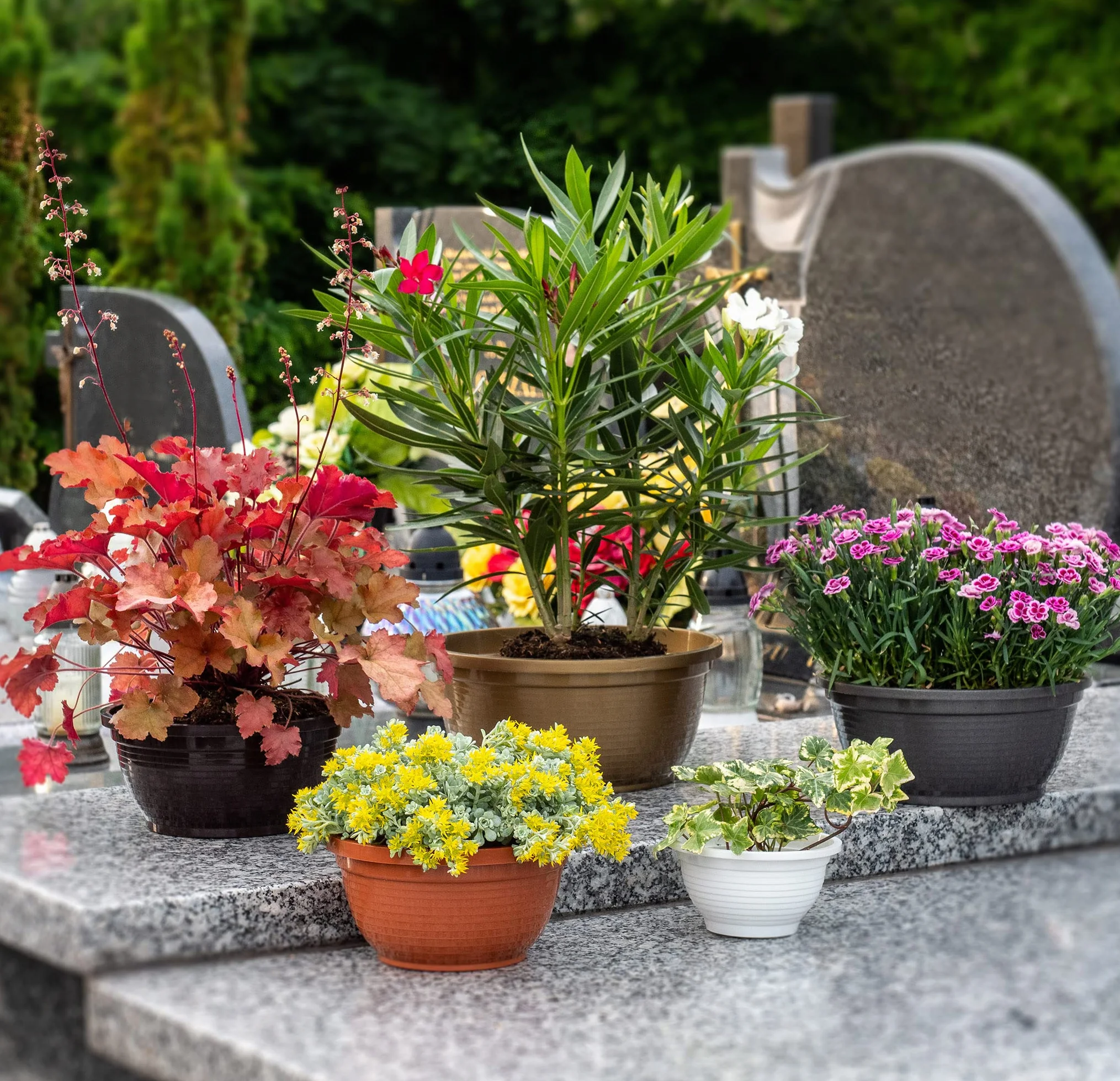 KADAX Miska z tworzywa sztucznego, okrągła donica na kwiaty, odporna na warunki atmosferyczne, do użytku na zewnątrz, lekka miska na kwiaty, donica na rośliny (Ø 20 cm, terakota)