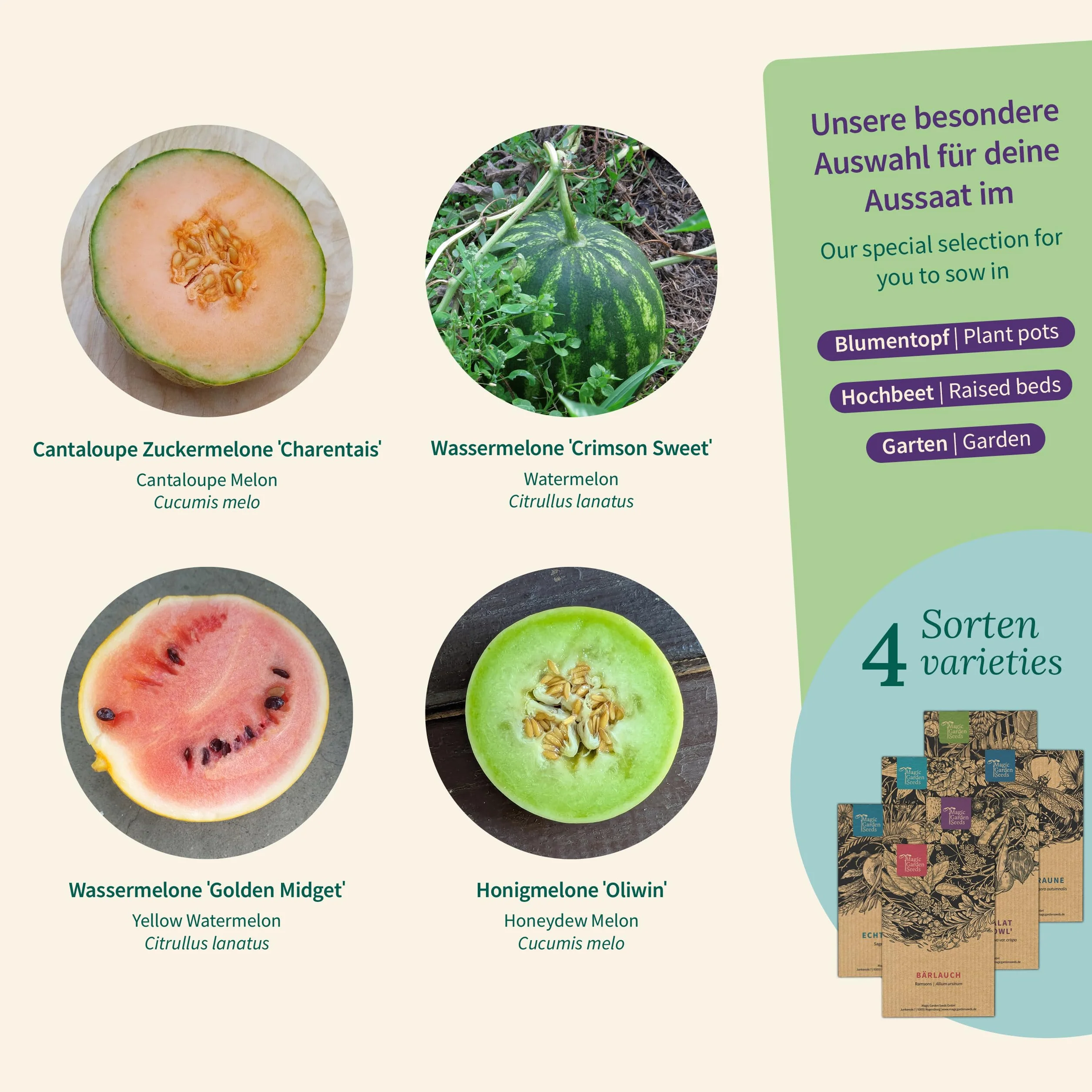Magic Garden Seeds Zestaw nasion 4 odmian arbuz melon kavun