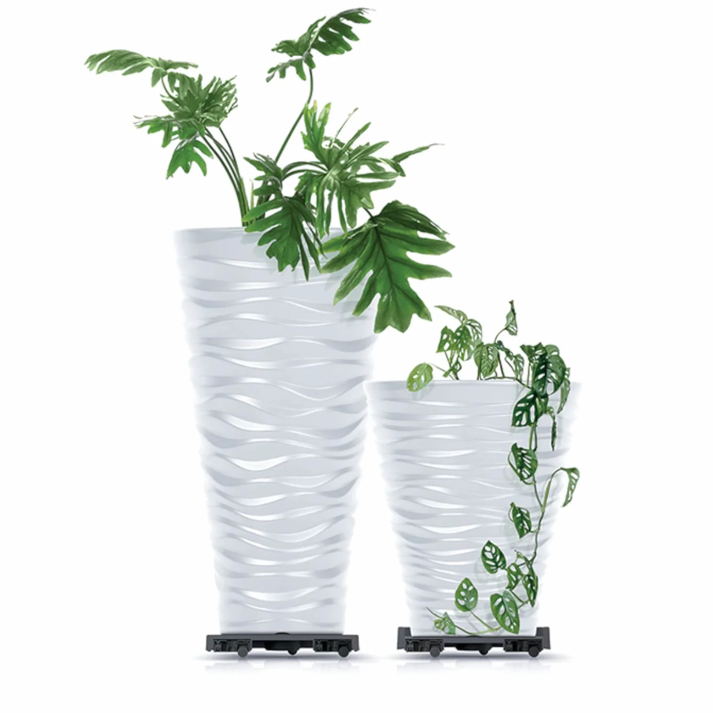 Prosperplast IPRR300-S433 Mobilna Podstawka pod Doniczkę 30 cm Okrągła na Kółkach z Plastiku
