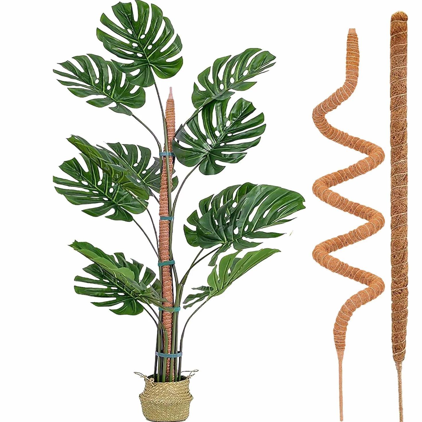 Słupki z mchem dla Monstera 2-pakiety 63,5 cm 121,9 cm podpór do roślin domowych