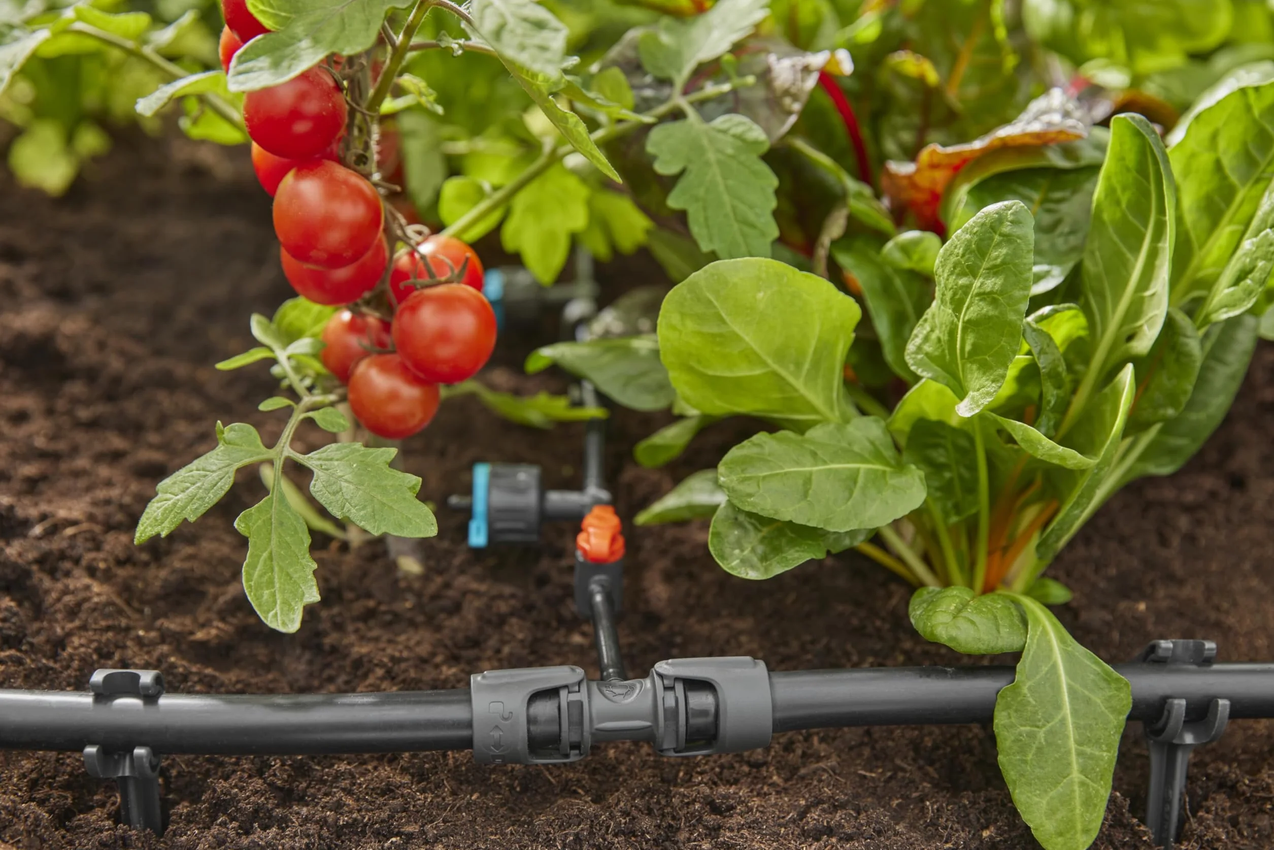 Gardena system Micro-Drip trójnik redukcyjny: Praktyczne połączenie T do przejścia rury 13 mm w rurę 4,6 mm, technika połączeniowa Quick & Easy, możliwość ponownego użycia (13204-20)