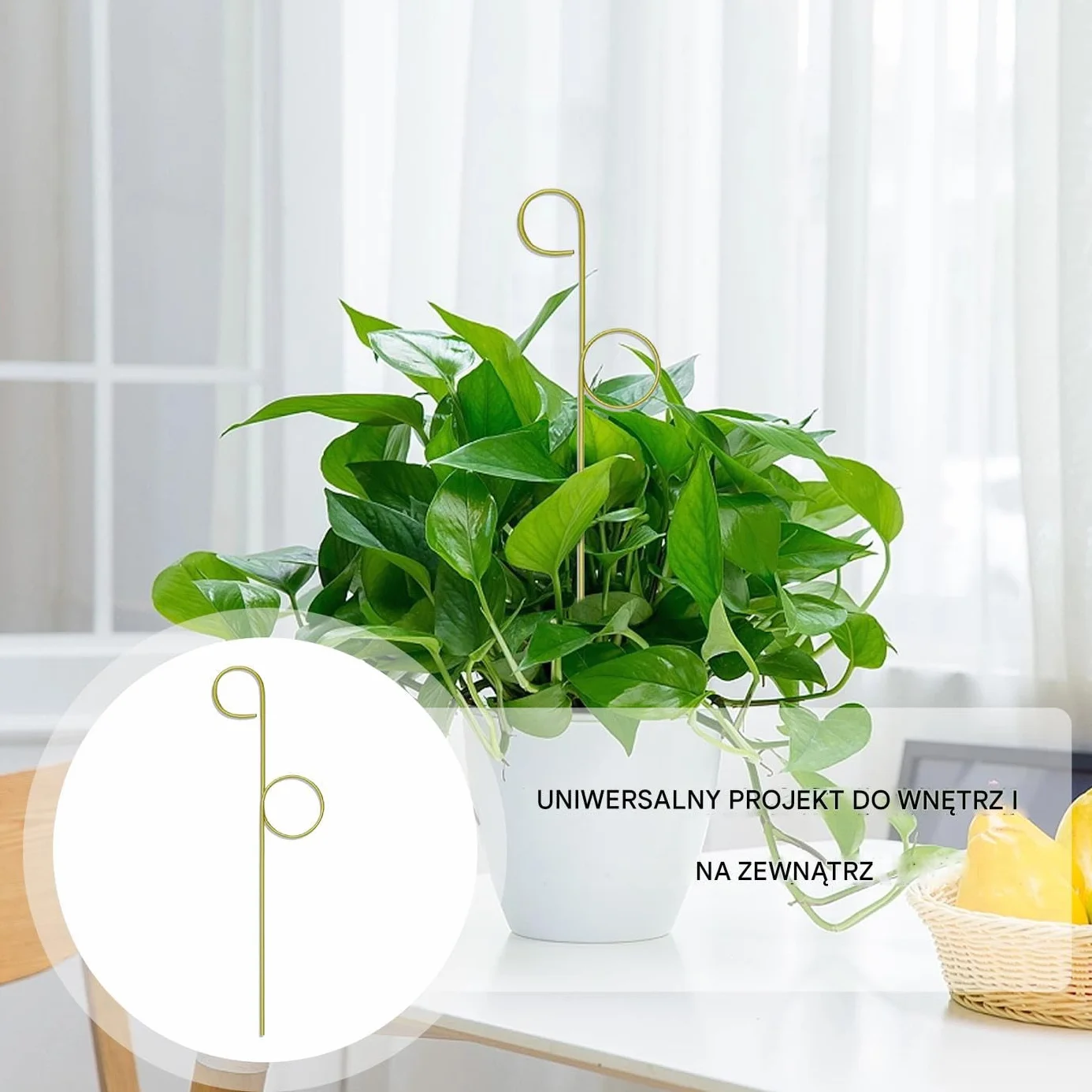 Plant Trellis Indoor, Small Freestanding Metal Support, Compact Climbing Frame Potted Plants, Decorative Garden Accessory, Ideal for Houseplants, Vegetable, Tomato