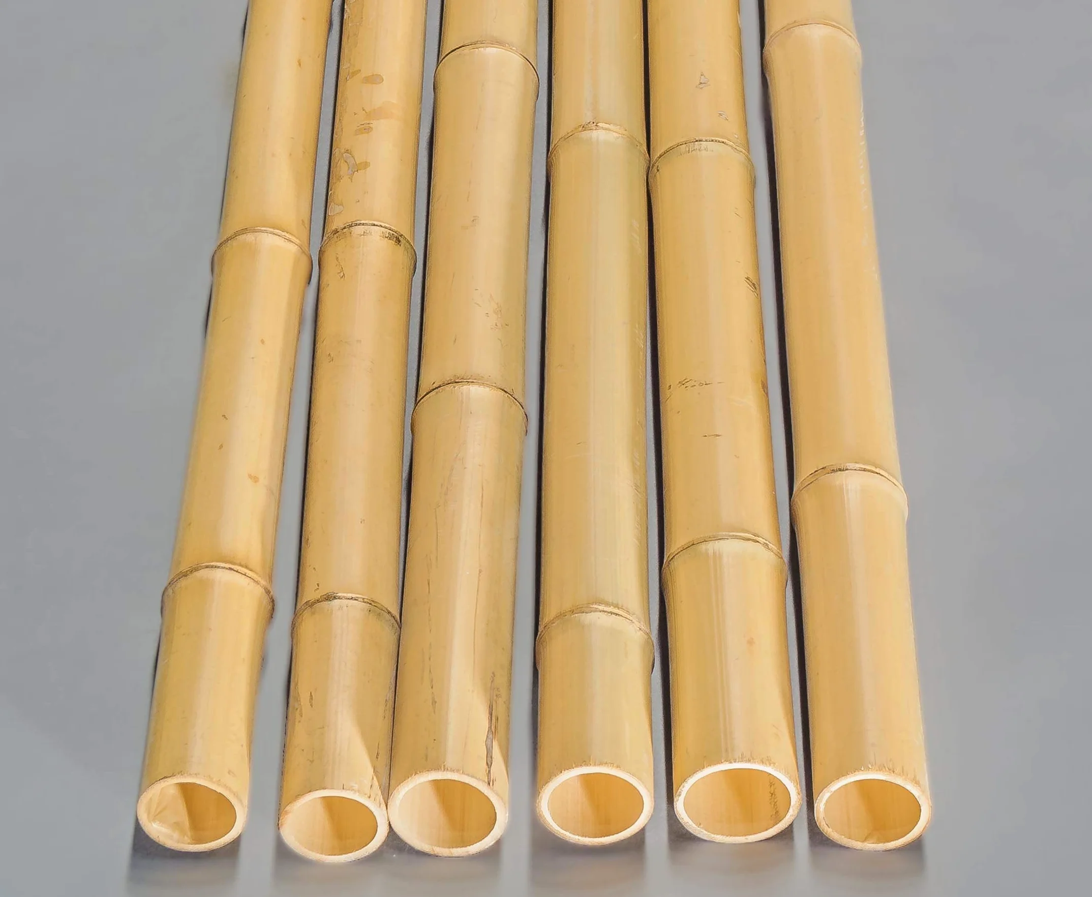 Rura bambusowa Moso 200 cm żółtawa bielona średnica 6,8-8 cm drążek bambusowy 2 m