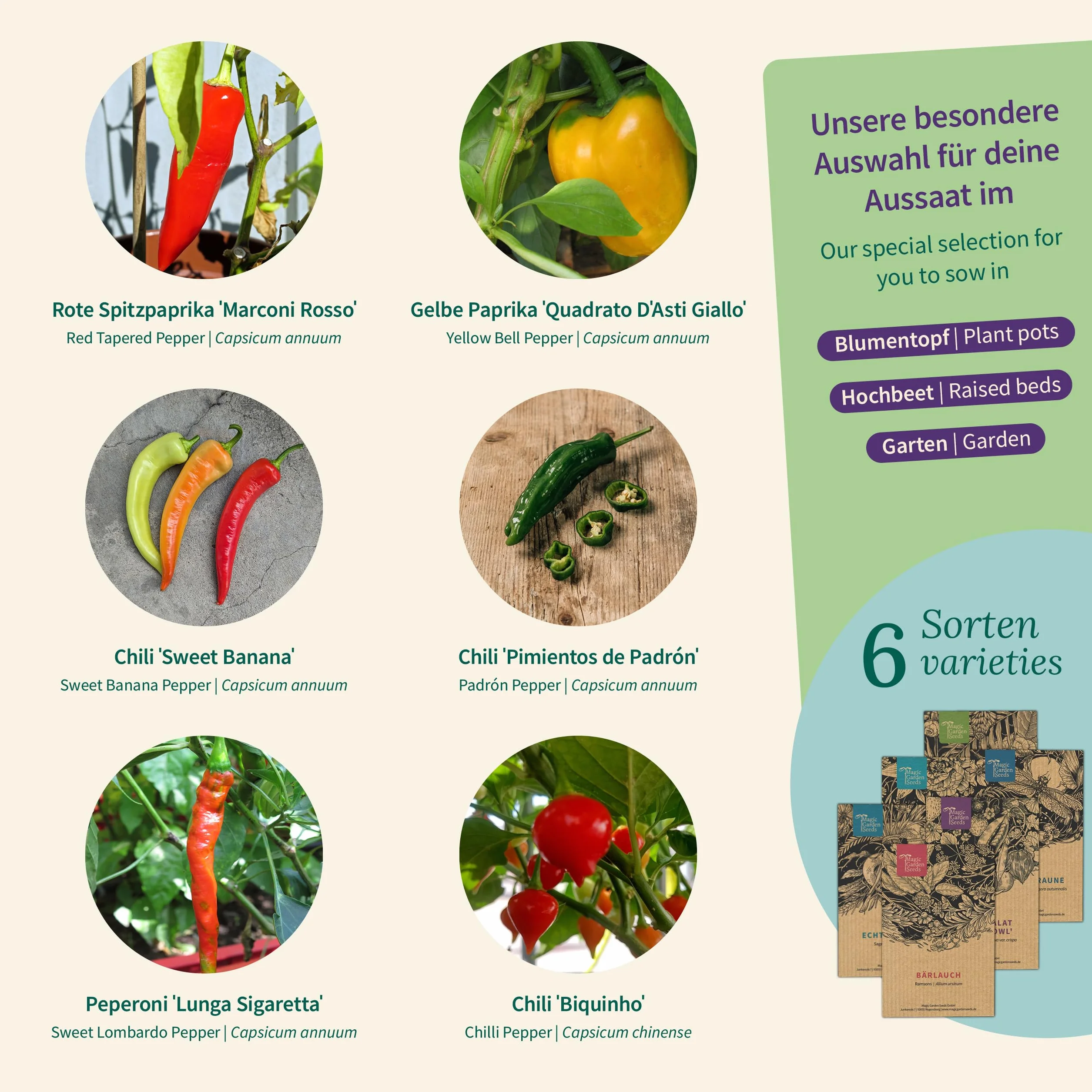 Magic Garden Seeds - Pudełko z nasionami łagodnych chili: 6 aromatycznych odmian bez stresu od ostrości - łatwe w pielęgnacji i idealne do ogrodu, na balkon i podniesioną grządkę