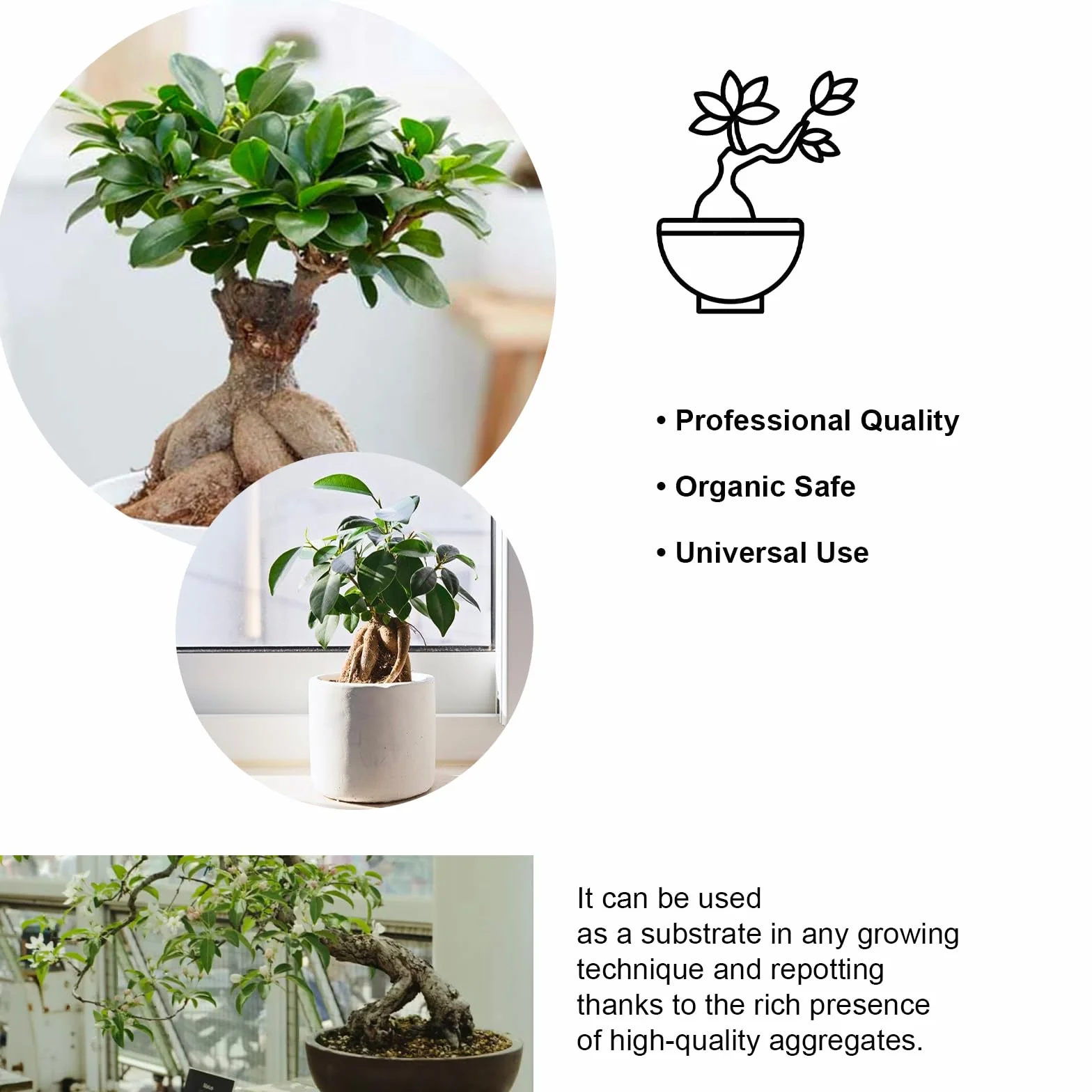 Ziemia doniczkowa do Bonsai 2L Mieszanka torfu lapilli i piasku