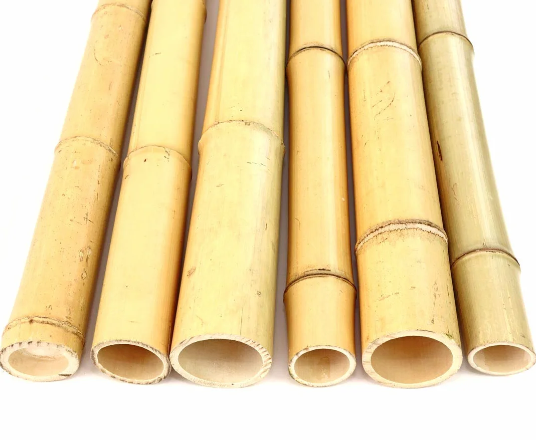 Rura bambusowa Moso 200 cm żółtawa bielona średnica 6,8-8 cm drążek bambusowy 2 m