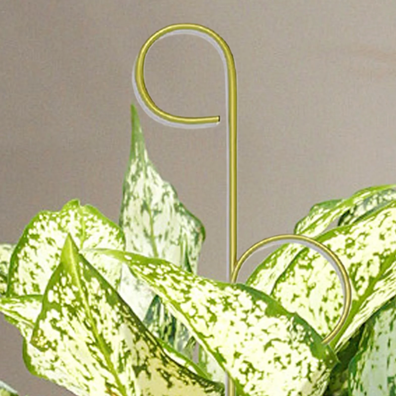 Plant Trellis Indoor, Small Freestanding Metal Support, Compact Climbing Frame Potted Plants, Decorative Garden Accessory, Ideal for Houseplants, Vegetable, Tomato