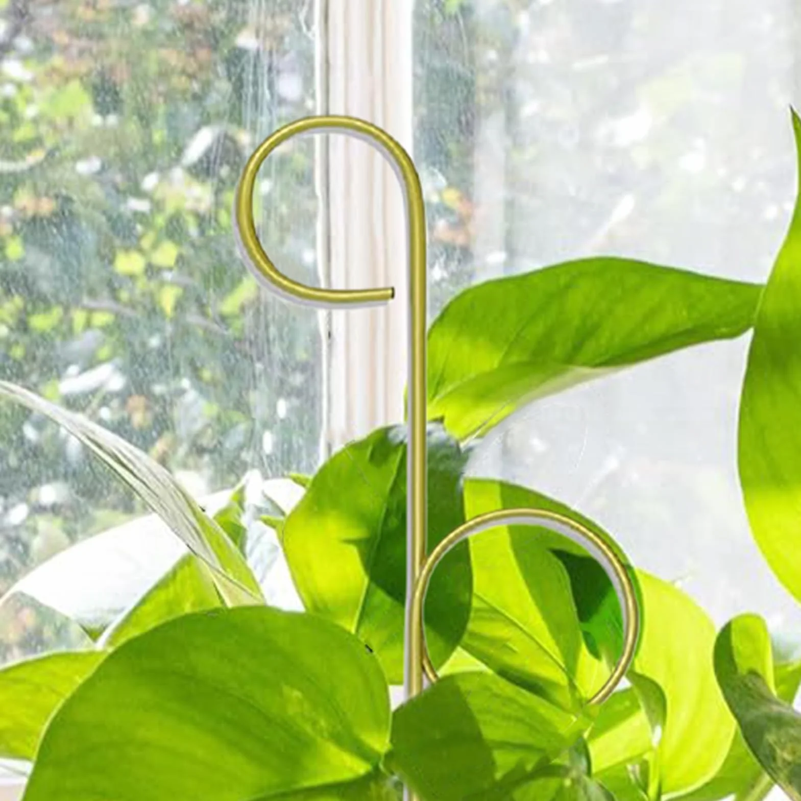 Plant Trellis Indoor, Small Freestanding Metal Support, Compact Climbing Frame Potted Plants, Decorative Garden Accessory, Ideal for Houseplants, Vegetable, Tomato