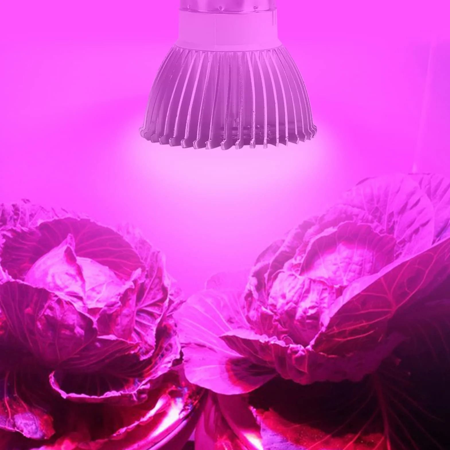 Aramox Żarówka LED do Uprawy 18W, Pełne Spektrum światła dla Roślin Doniczkowych Szklarnia Hydroponiczna Soczysty Kwiat, Podstawa E27 E14 GU10 (E27)