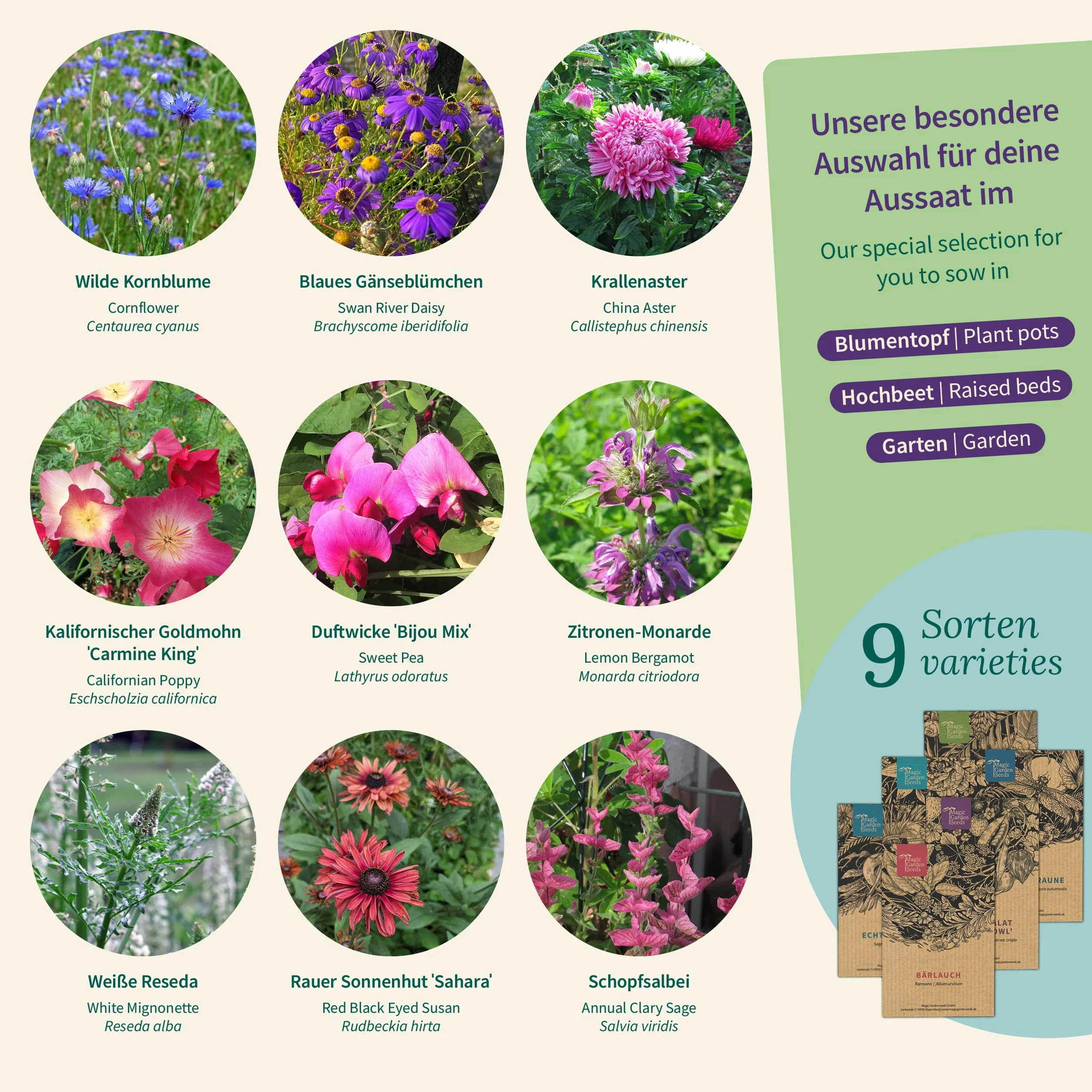 Magic Garden Seeds - Skrzynka z nasionami kwiatów balkonowych z 9 odmianami - letnie kwiaty i byliny na balkon i donice - przyjazne dla pszczół, pachnące i kolorowe - różnorodność kwiatów dla małych