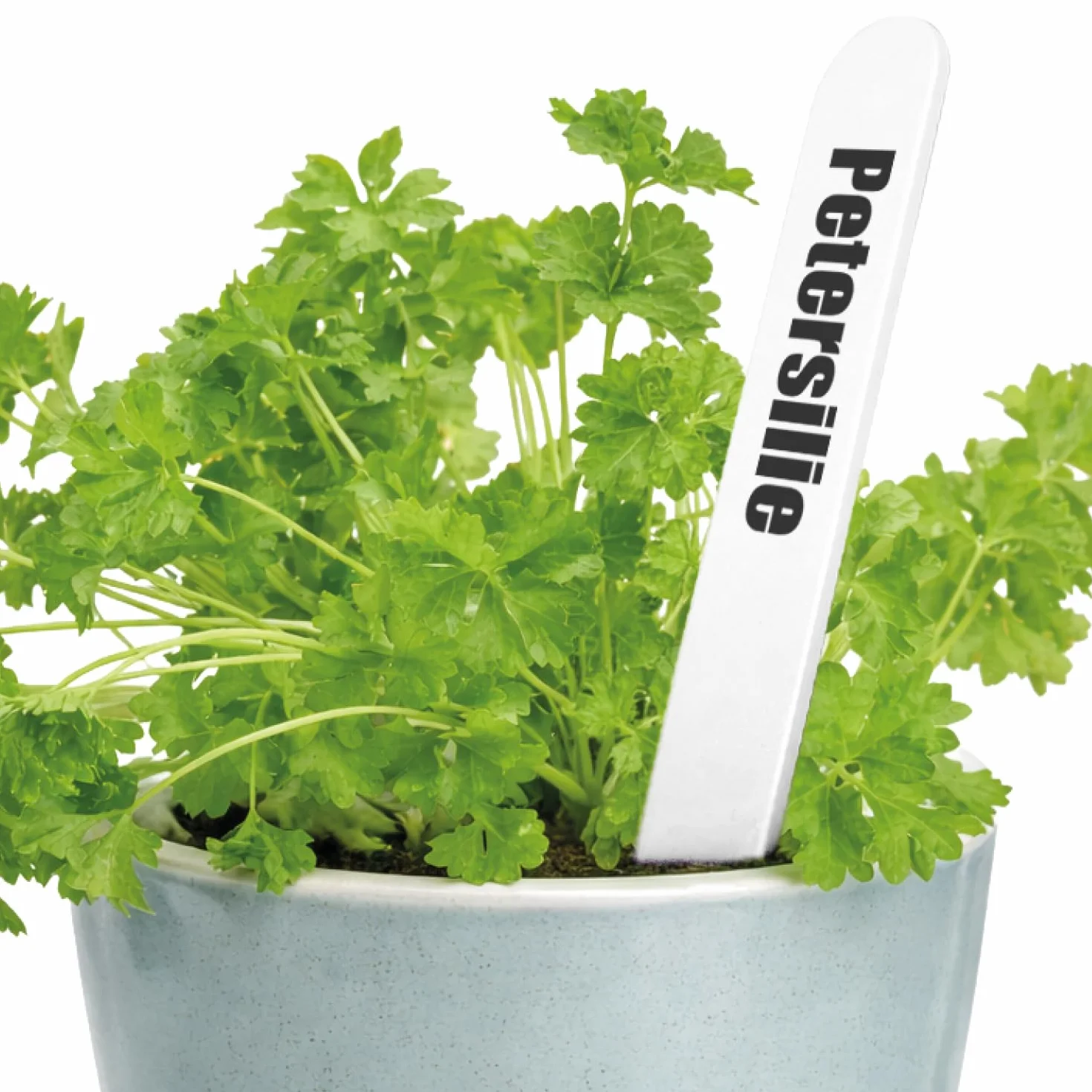 COM-FOUR® 200x tabliczki na rosliny z olówkiem - etykiety wtykowe 12 cm do pokojów, balkonów, ogrodów - wtyki do oznakowania roslin - wtyki uprawowe do grzadek i doniczek (200 sztuk - biale - 12cm)