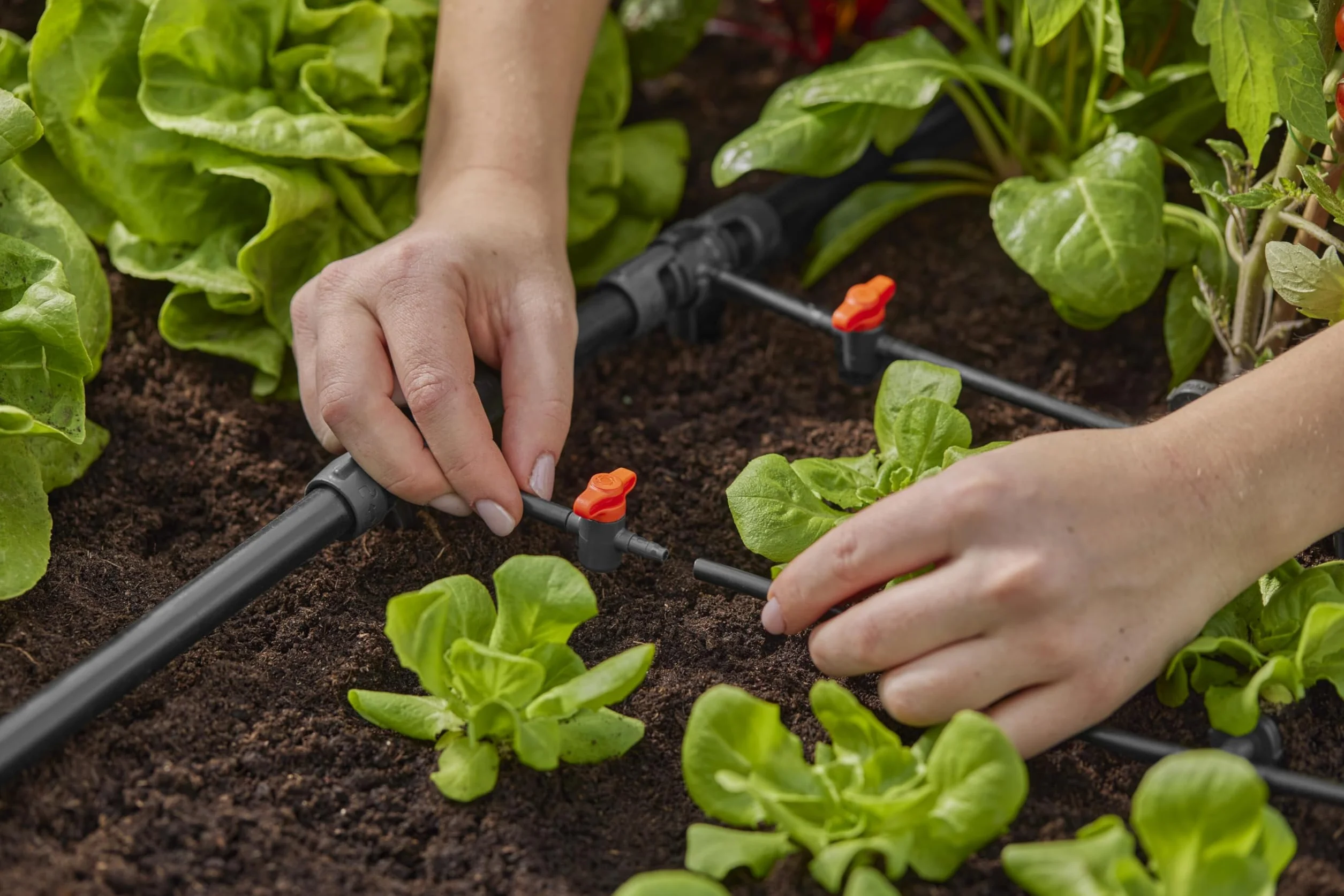 Gardena system Micro-Drip trójnik redukcyjny: Praktyczne połączenie T do przejścia rury 13 mm w rurę 4,6 mm, technika połączeniowa Quick & Easy, możliwość ponownego użycia (13204-20)