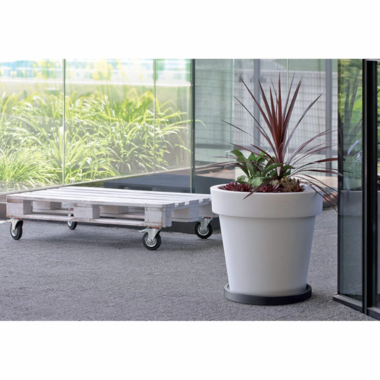 Prosperplast IPRR300-S433 Mobilna Podstawka pod Doniczkę 30 cm Okrągła na Kółkach z Plastiku