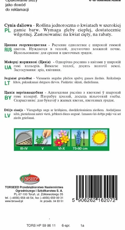 Bold Dahlia nasiona cynii, eleganckie – zapierające dech w piersiach kwiaty jednoroczne, idealne do rabatek kwiatowych i aranżacji cięcia, osiąga 75-80 cm, łatwa w uprawie (1 g)