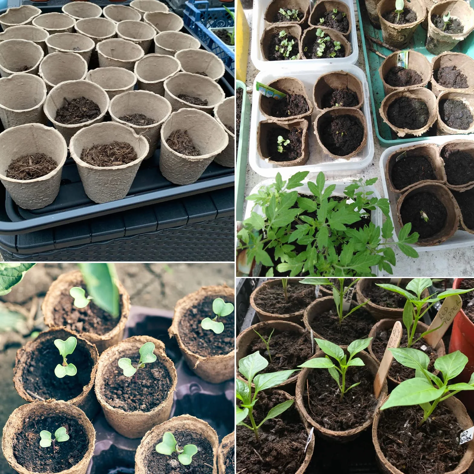KINGLAKE 100 szt. 8 cm doniczki z włókna, biodegradowalne doniczki na sadzonki z 100 szt. plastikowych etykiet na rośliny, 1 x 5 cm