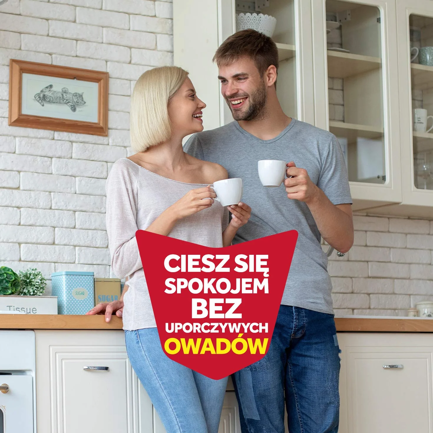 Raid Aerozol Przeciw Muchom, Komarom, Osom i Innym Owadom Latającym, Natychmiastowe Działanie, 400 ml
