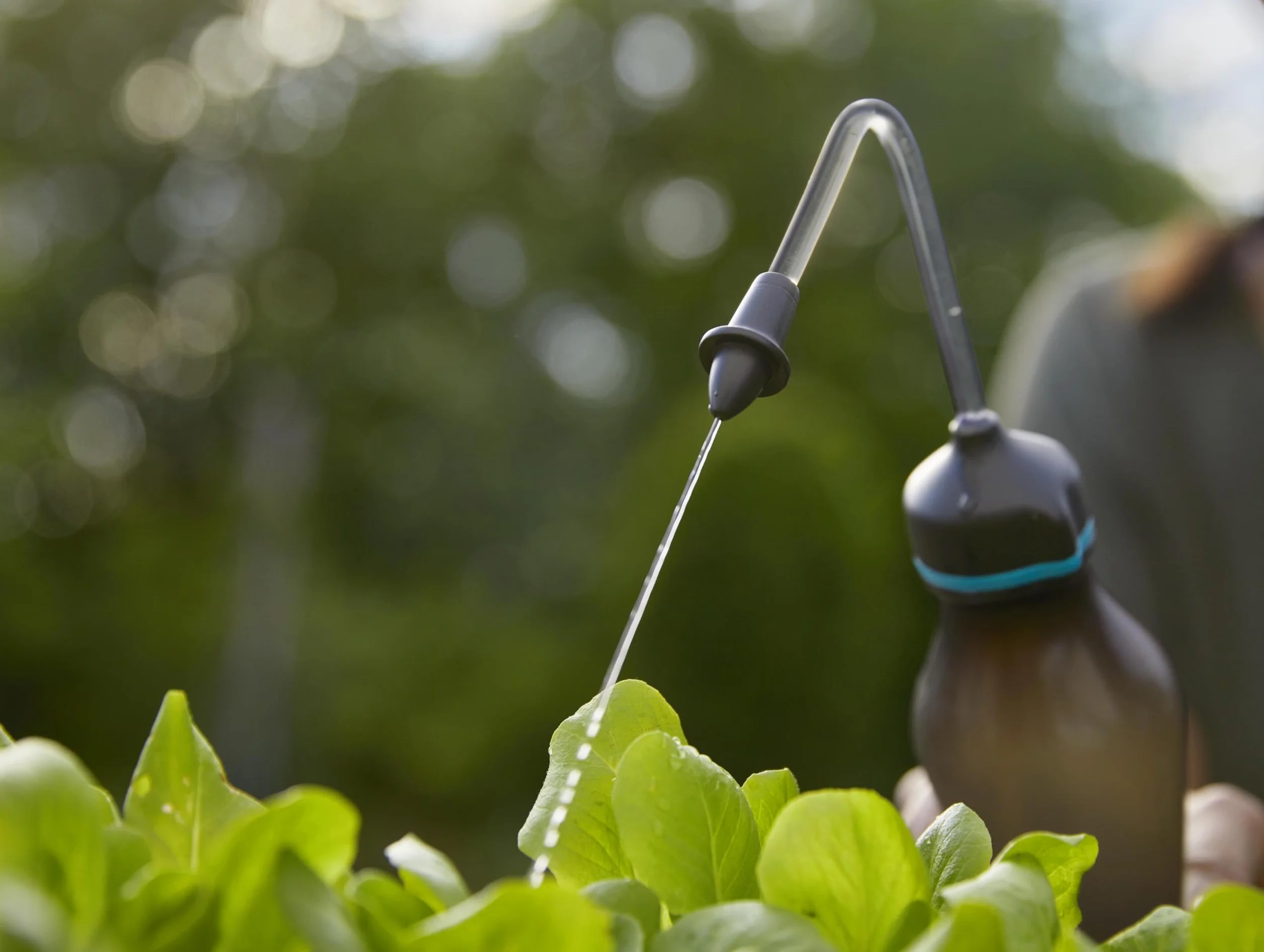 Gardena opryskiwacz miękki 0,45 l: Delikatne podlewanie sadzonek, funkcja 2 w 1 z głowicą zraszającą lub dyszą drobnostrumieniową, pojemność 450 ml (11102-20)
