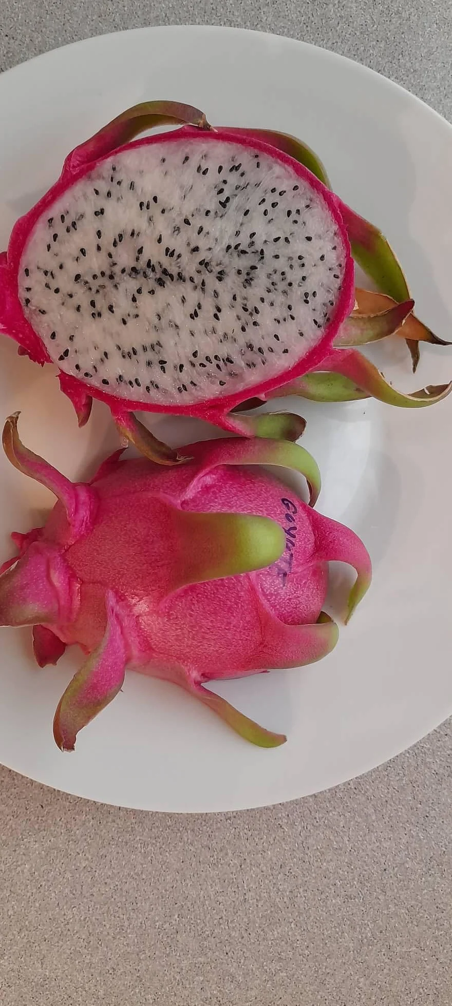 PITAYA CZERWONA, 30-40 cm, OWOCE SMOCZEK, ZAMORANSKIE SAMOFERTYCZNE RÓŻNE