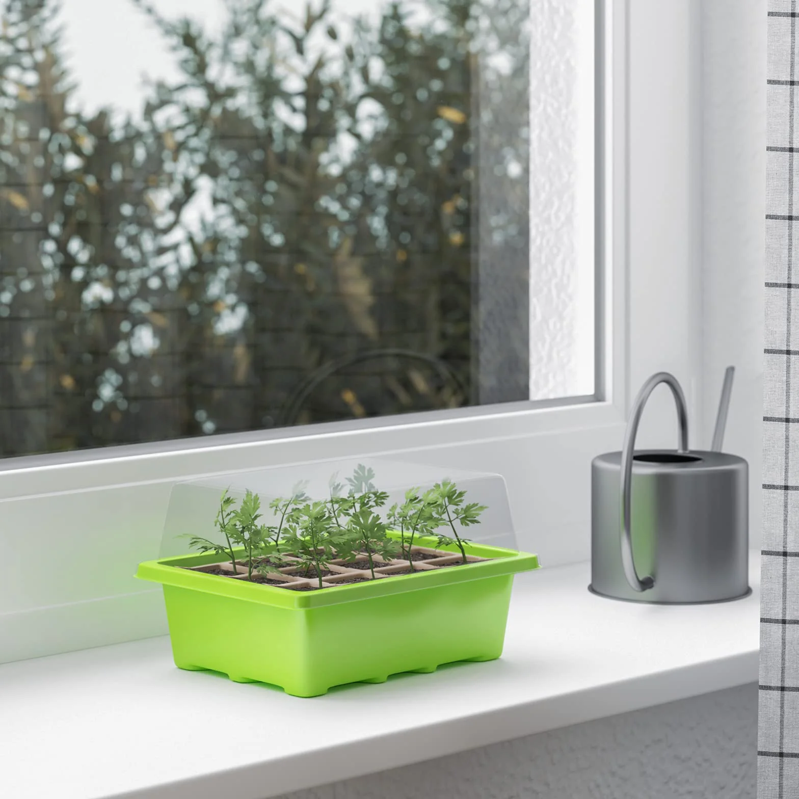 WELLGRO Mini szklarnia z 6 tabliczkami na rośliny 19 x 14,5 x 11 cm tworzywo sztuczne celuloza 3 sztuki