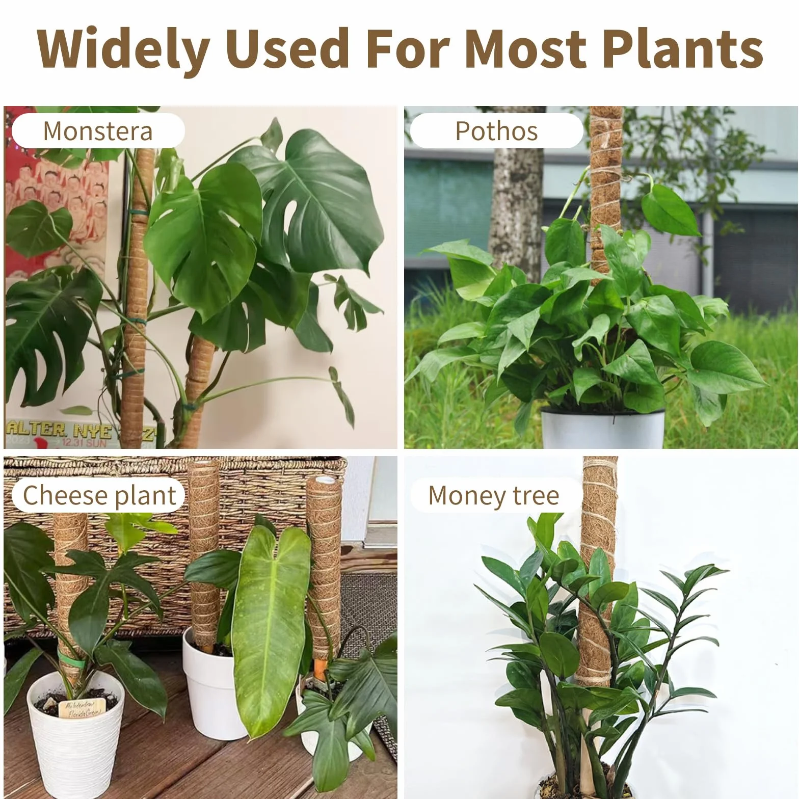 4 Sztuki 40cm Kij do Mchu Monstera, Pręt Kokosowy z Naturalnego Włókna, Podpora dla Roślin Pnących, 2m Sznurka Jutowego, 2m Velcro, 20 Opaska Zaciskowa, Pręt do Monstery i Pothos (4)