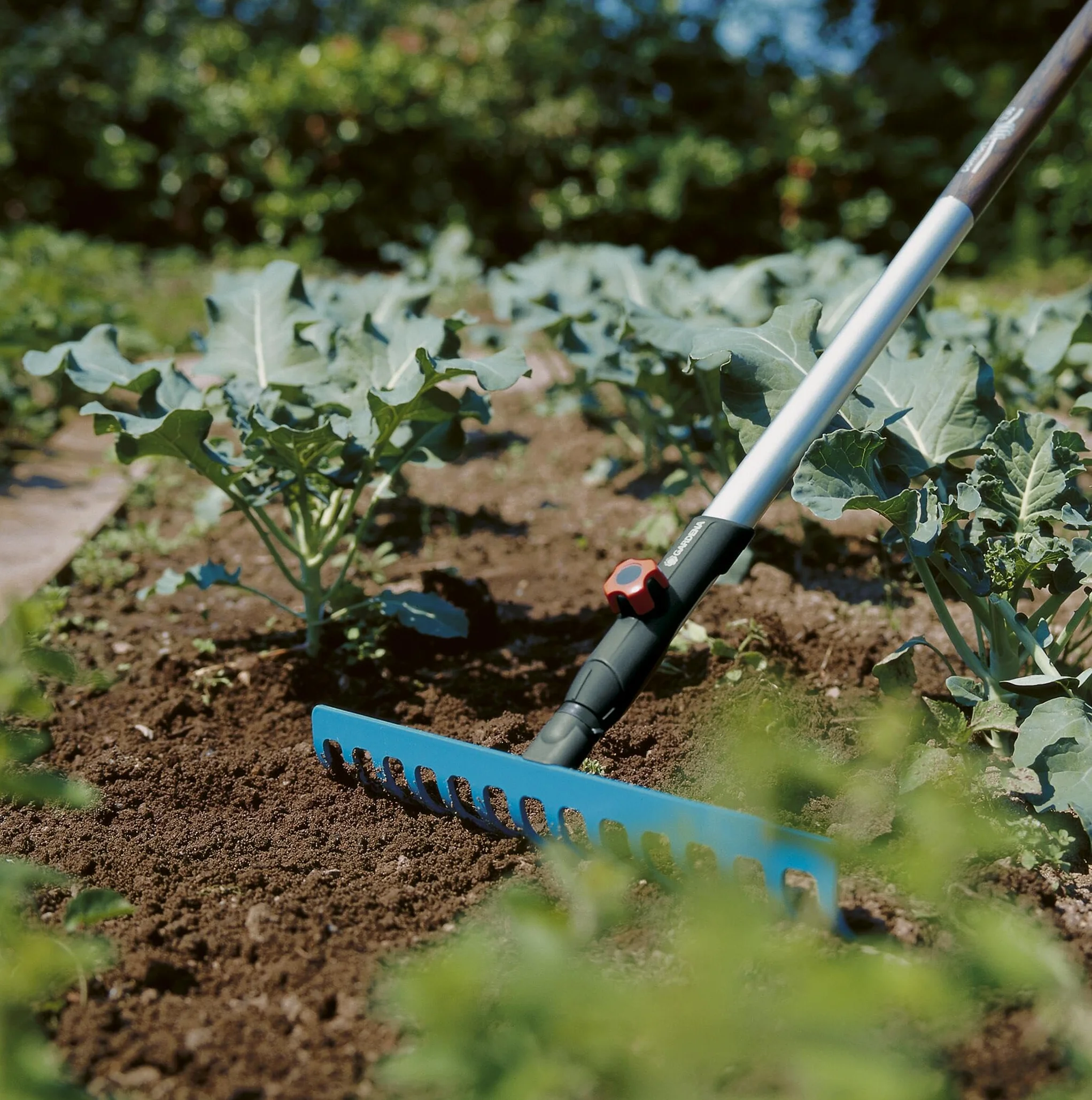 Gardena combisystem grabie: praktyczne grabie z 14 zębami, idealne narzędzie ogrodnicze do zgrabiania, usuwania chwastów i uprawy gleby, szer. robocza 36 cm, pasują do wszystkich trzonków cs (3178-20)