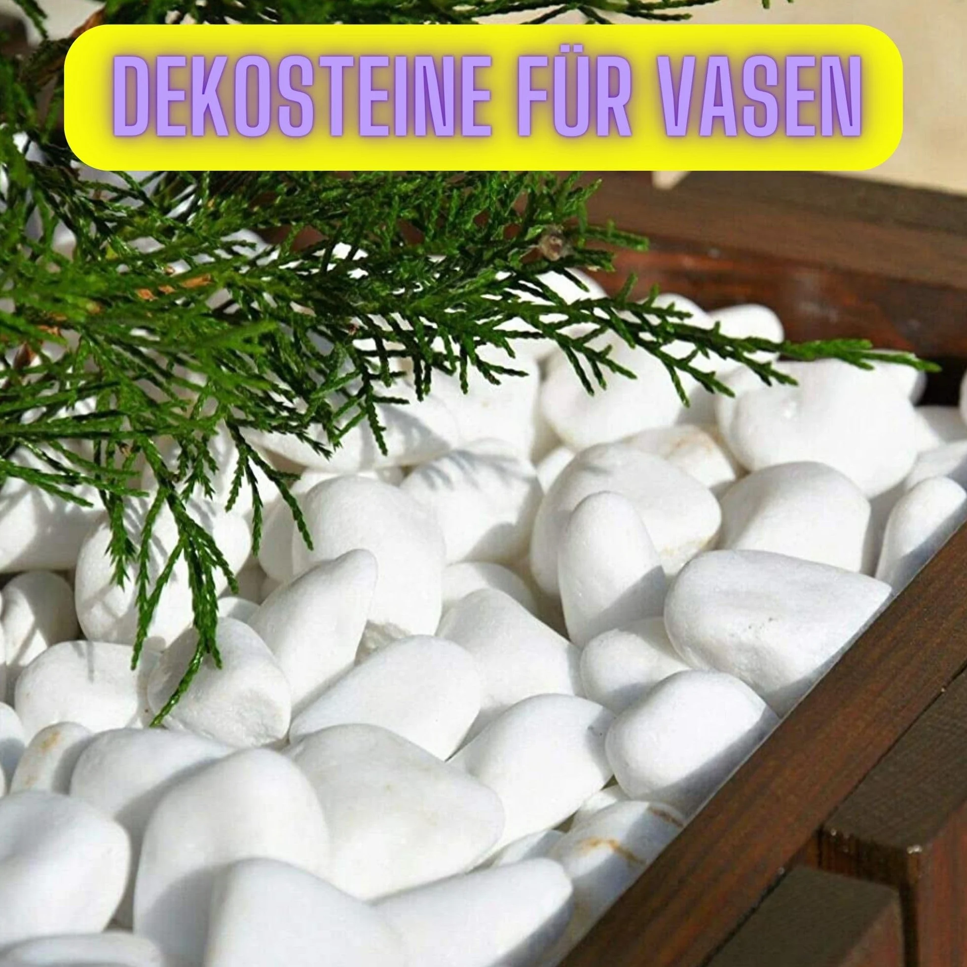 VELLES Kamienie dekoracyjne białe do wazonów akwarium ogrodu