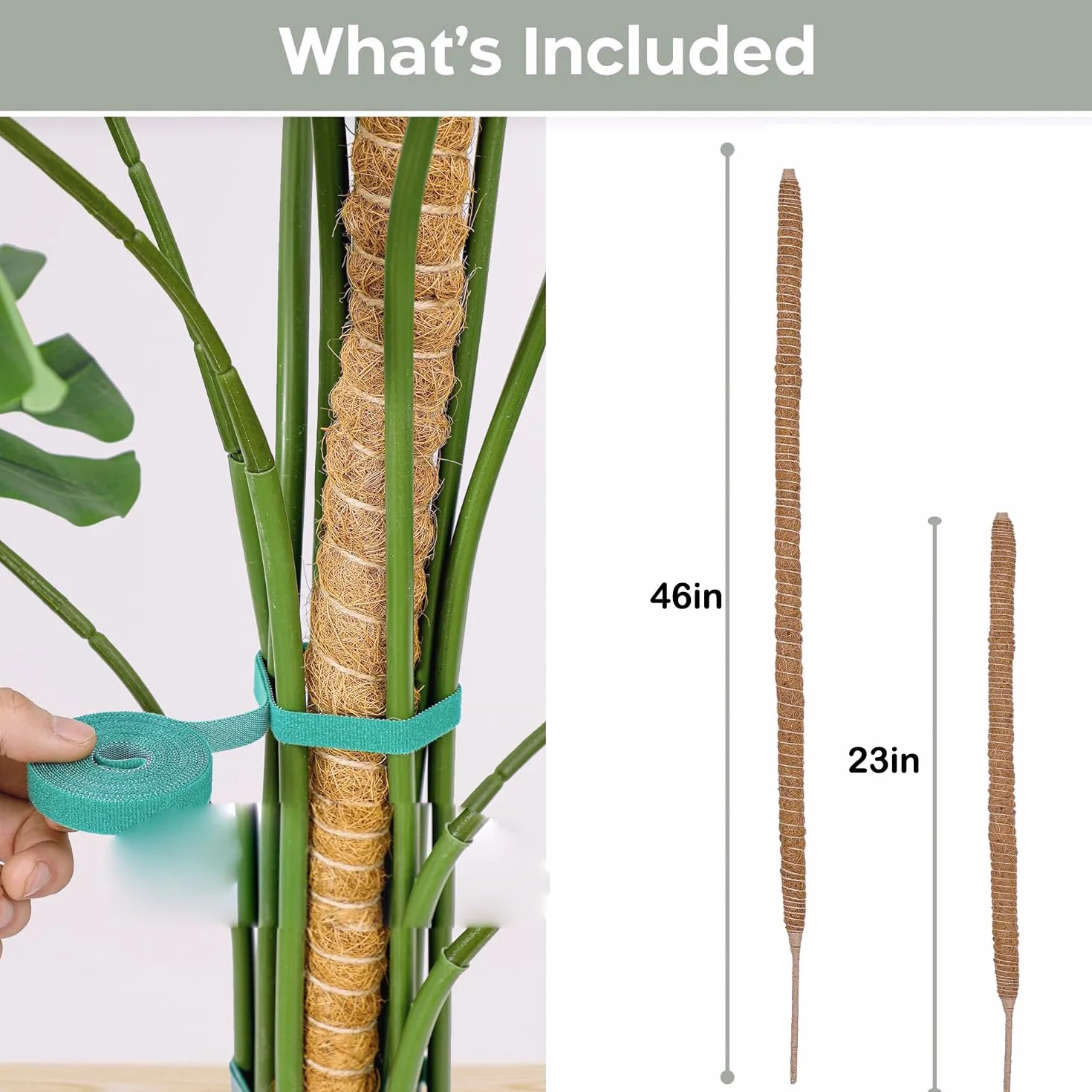 Słupki z mchem dla Monstera 2-pakiety 63,5 cm 121,9 cm podpór do roślin domowych