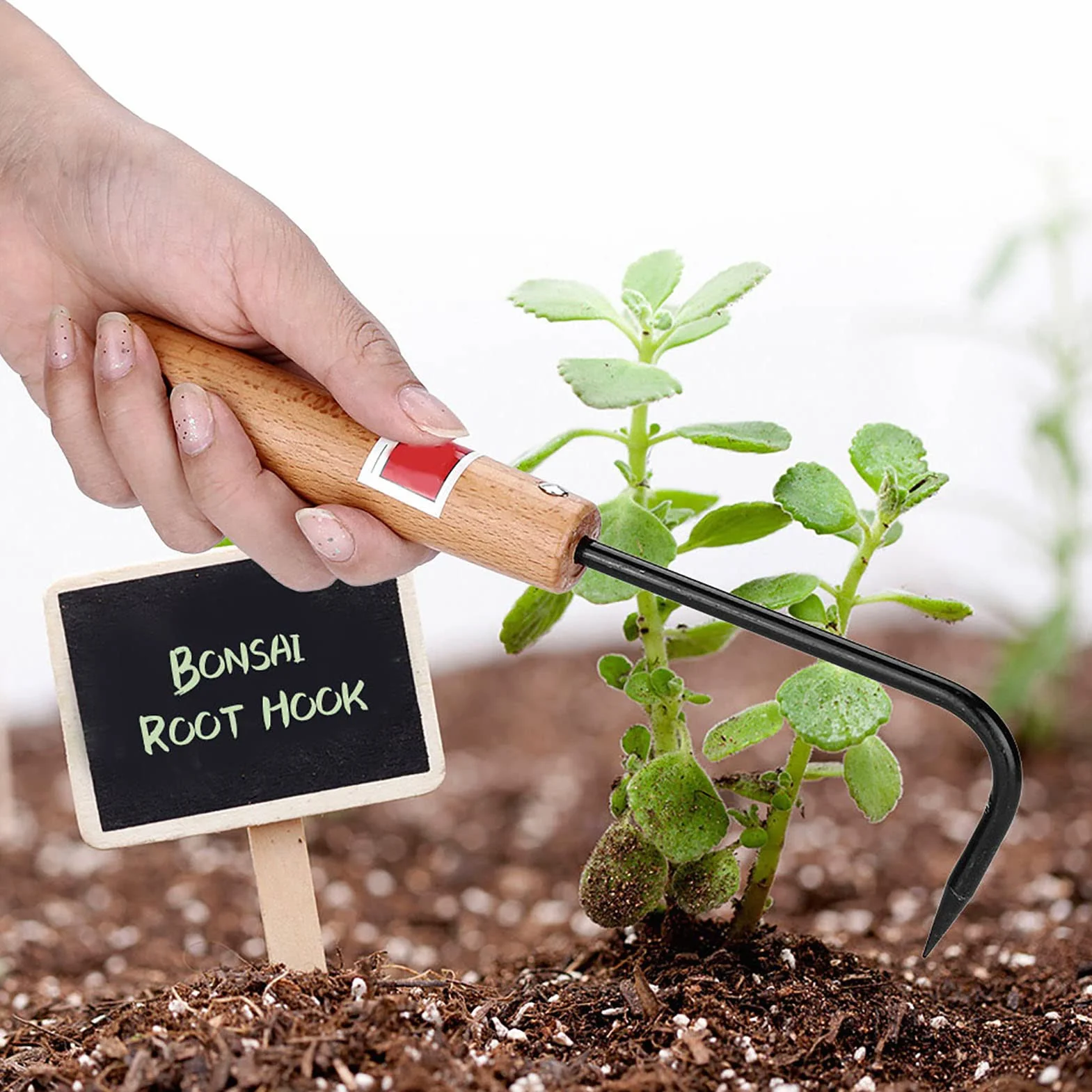 Haczyk Bonsai, żelazny korzeń z Pojedynczym Pazurem, z bukową rączką, Solidny Hak Ogrodowy, Narzędzie Bonsai, do Pielenia/kopania/skręcania