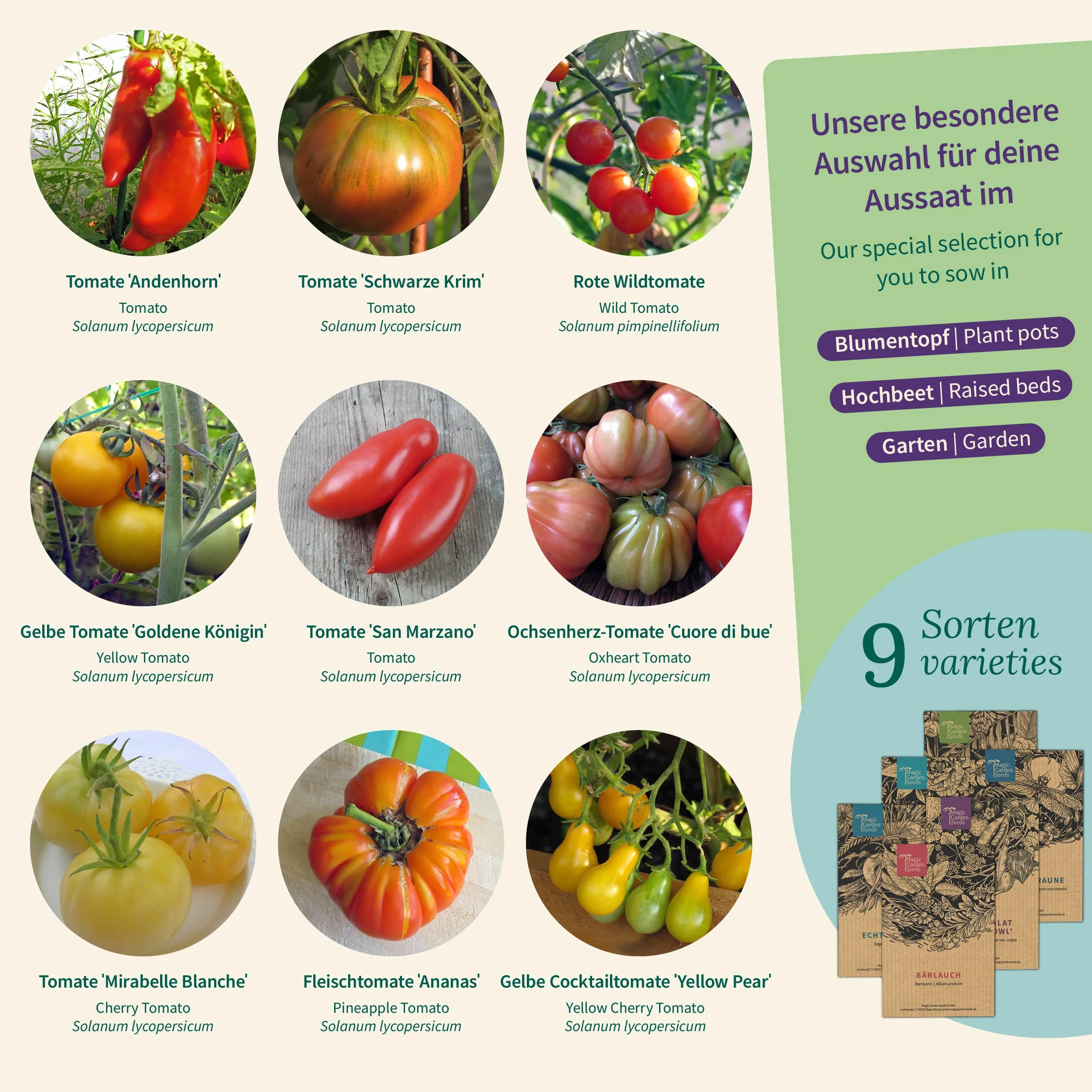 Magic Garden Seeds - Zestaw nasion rzadkich odmian pomidorów w pudełku z 9 historycznymi odmianami - kolorowe, aromatyczne i czyste w nasieniu pomidory do ogrodu, wysokiej grządki i doniczki - z
