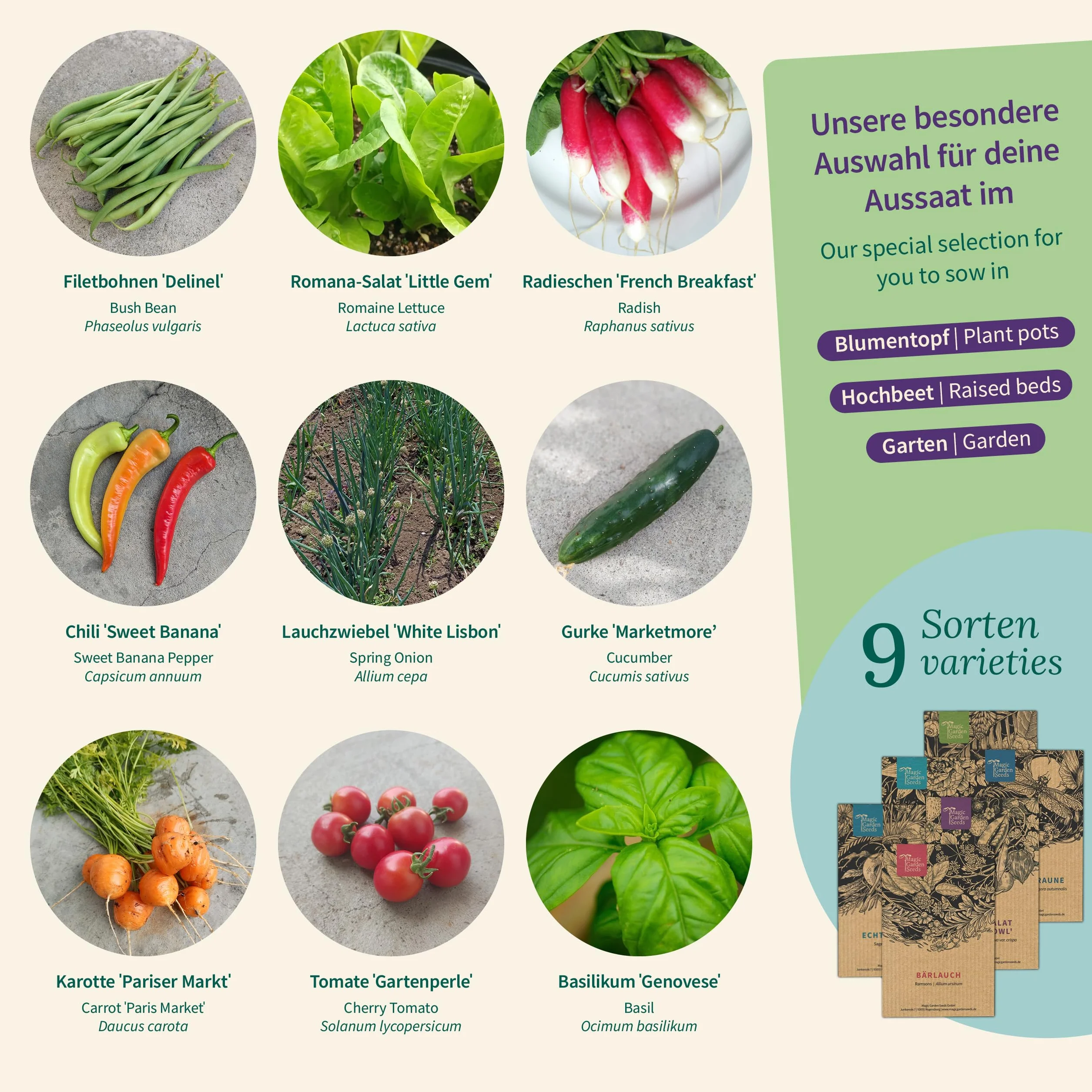Magic Garden Seeds Pojemnik na nasiona warzyw balkonowych 9 rodzajów do doniczek i ogrodu