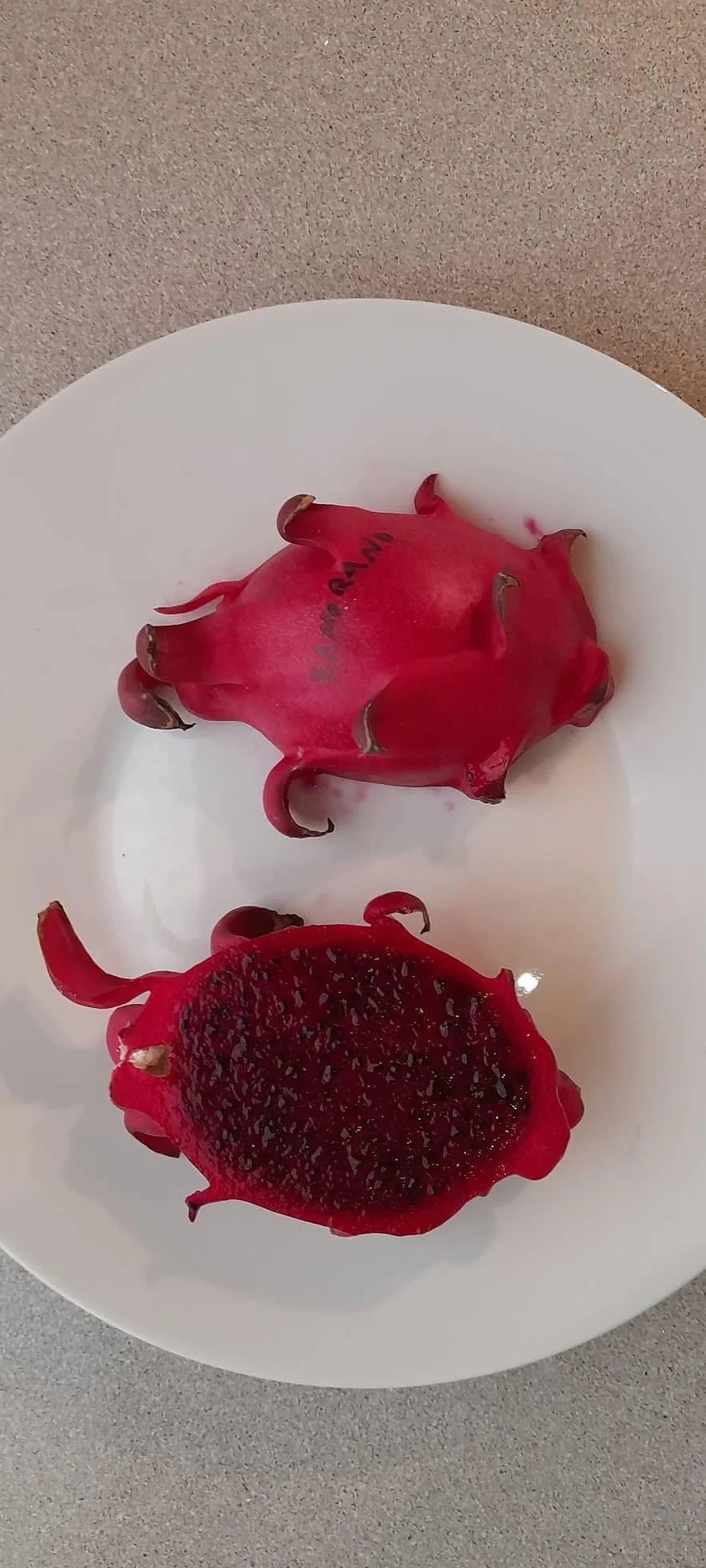 PITAYA CZERWONA, 30-40 cm, OWOCE SMOCZEK, ZAMORANSKIE SAMOFERTYCZNE RÓŻNE