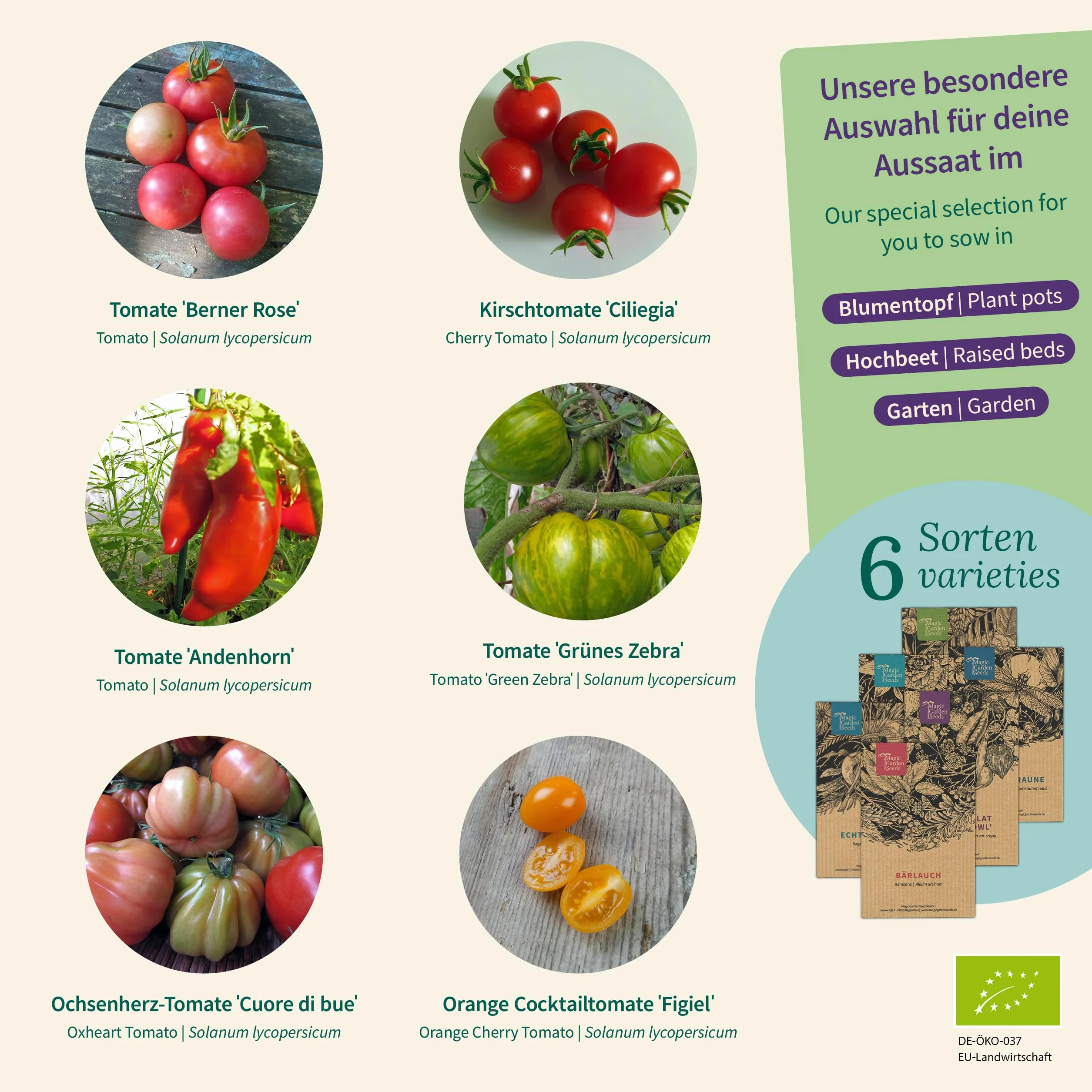 Magic Garden Seeds - Bio-opakowanie nasion pomidorów z 6 odmianami - historyczne, kolorowe pomidory do wysokiej grządki, doniczki i ogrodu - aromatyczne, odporne na nasiona i łatwe w pielęgnacji