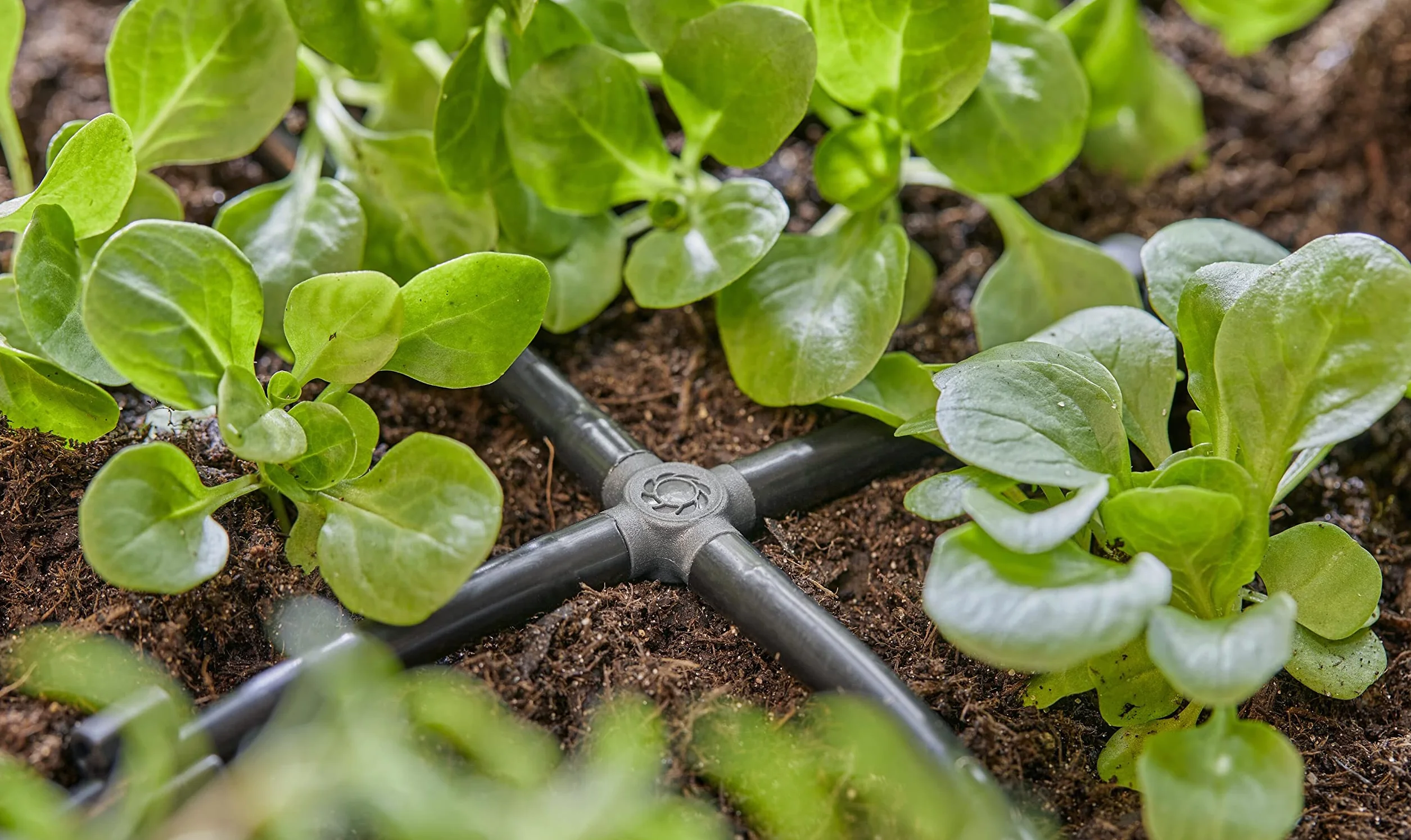 Gardena System Micro-Drip element krzyżowy 4,6 mm (3/16 cala) Akcesoria do odgałęziania rur