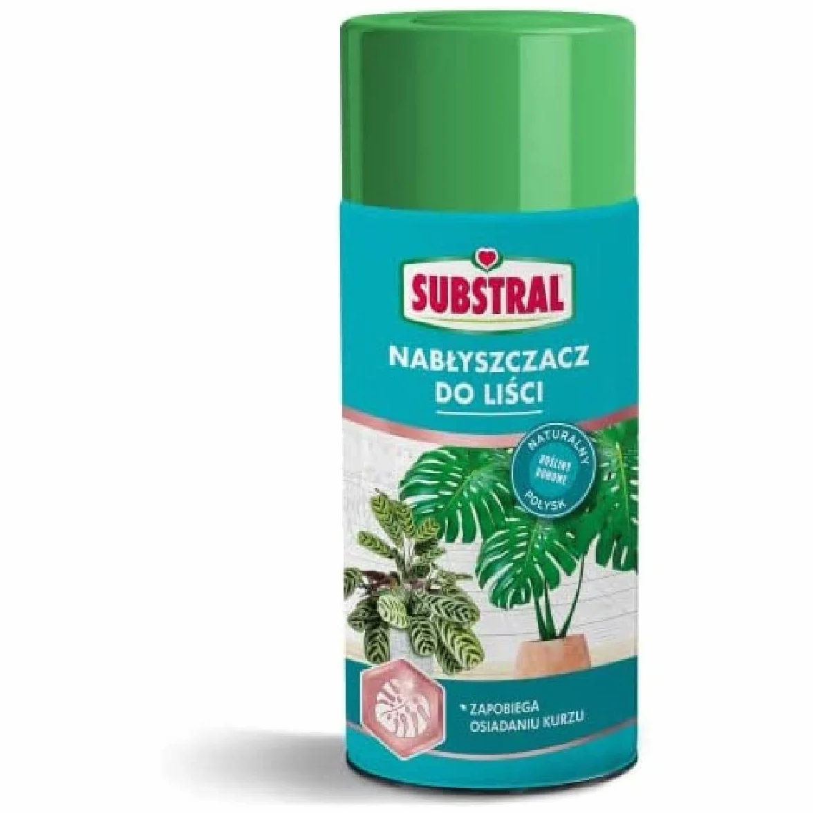Substral Nabłyszczasz do Liści Roślin Domowych, 200 ml