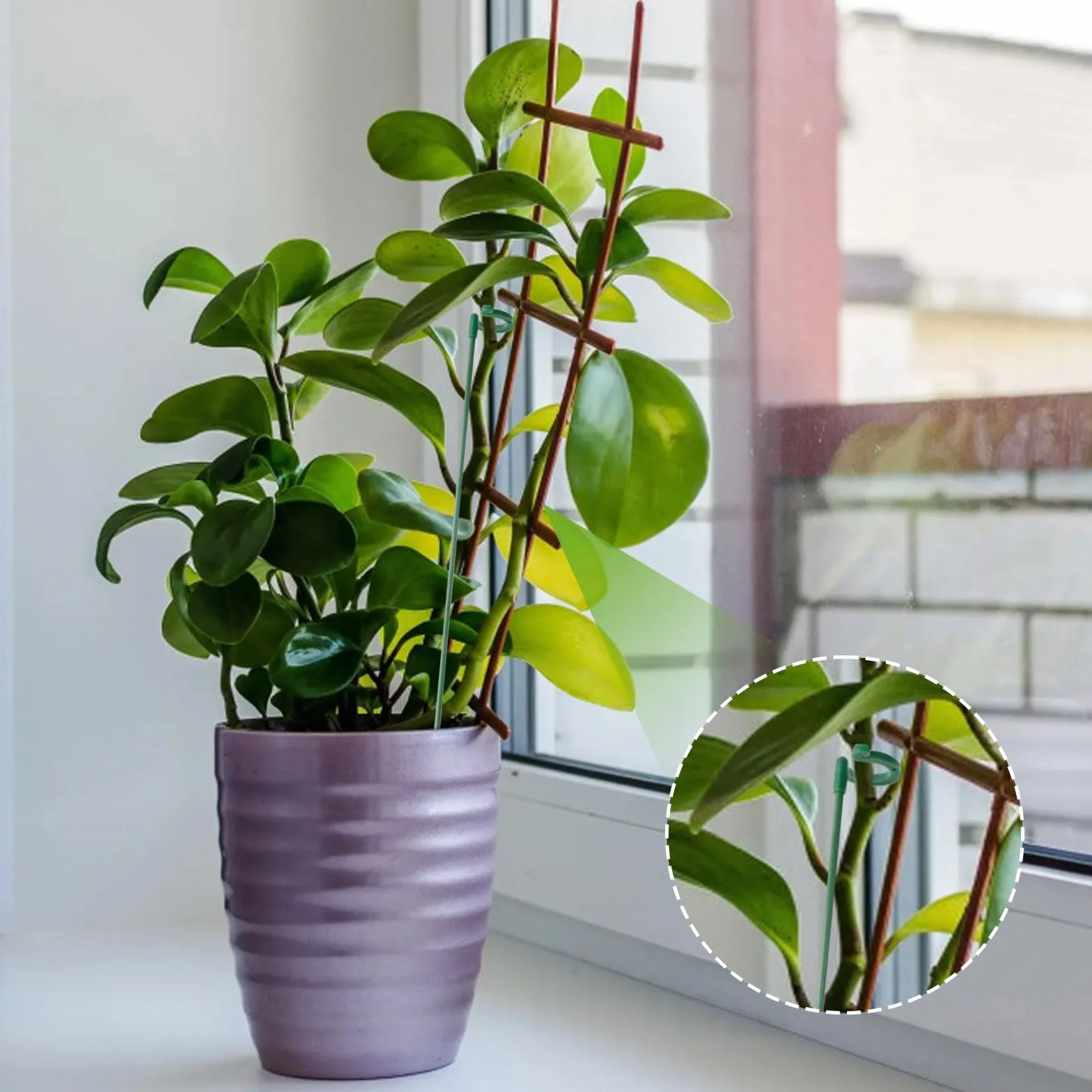 15 sztuk podpórki do roślin, 27 cm, podpora dla roślin doniczkowych, ochrona roślin przed nachyleniem do phalaenopsis, hortensji, piwonii